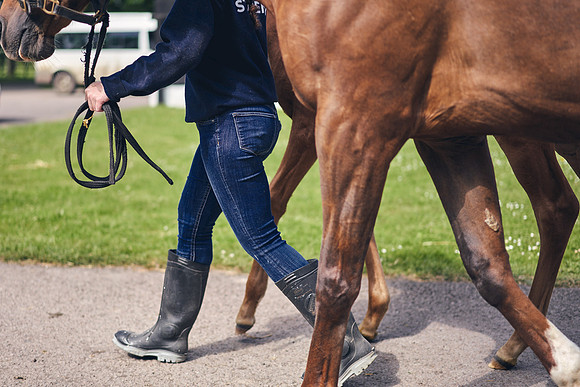 The-National-Stud-Dominic-James_DOM9627