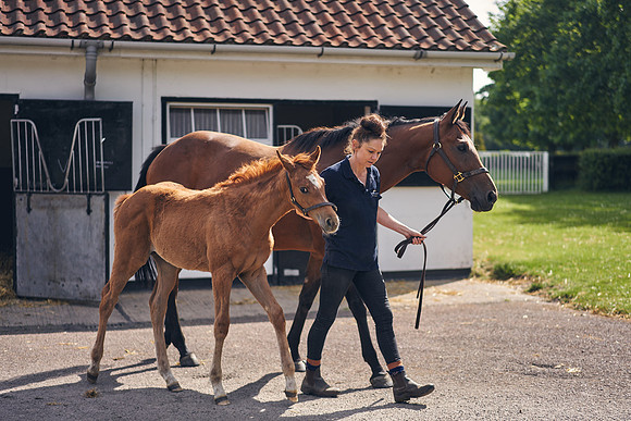 The-National-Stud-Dominic-James_DOM9529