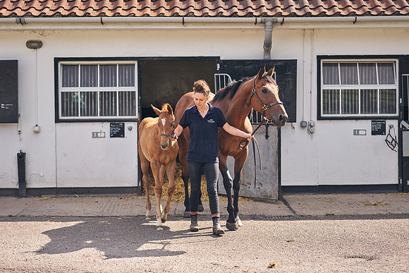 The-National-Stud-Dominic-James_DOM9521