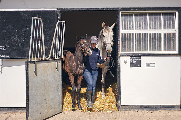 The-National-Stud-Dominic-James_DOM9458