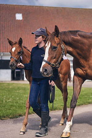 The-National-Stud-Dominic-James_DOM9617