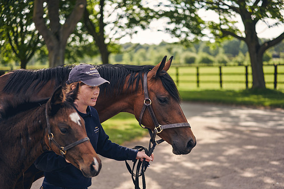 The-National-Stud-Dominic-James_DOM9545