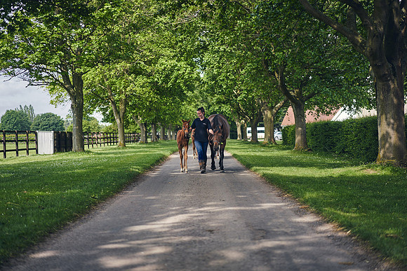 The-National-Stud-Dominic-James_DOM9644
