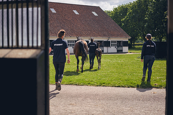 The-National-Stud-Dominic-James_DOM9452