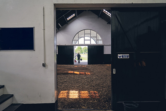 The-National-Stud-Dominic-James_DJ_3684