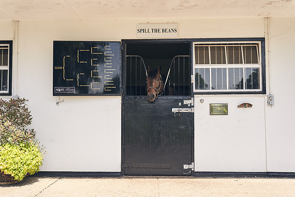 The-National-Stud-Dominic-James_DJ_4229