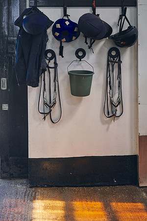 The-National-Stud-Dominic-James_DOM0002