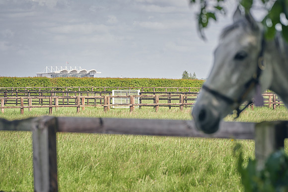 The-National-Stud-Dominic-James_DJ_5186