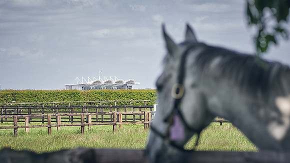 The-National-Stud-Dominic-James_DJ_5203