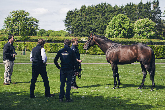 The-National-Stud-Dominic-James_DJ_3612
