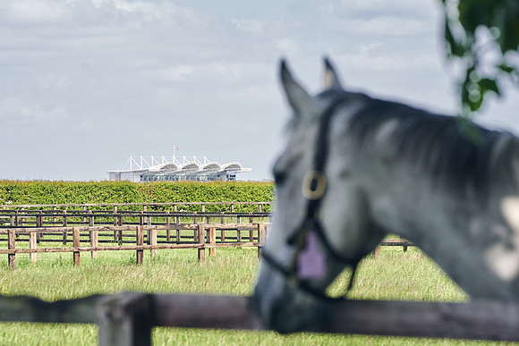The-National-Stud-Dominic-James_DJ_5199
