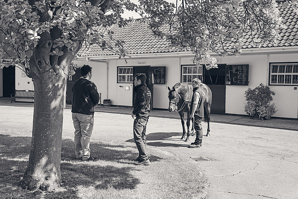 The-National-Stud-Dominic-James_DJ_3504
