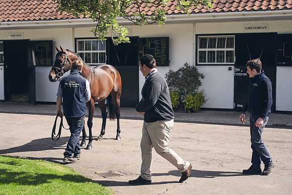 The-National-Stud-Dominic-James_DJ_3497