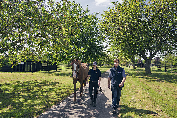 The-National-Stud-Dominic-James_DJ_3812