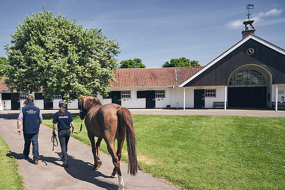 The-National-Stud-Dominic-James_DJ_3818