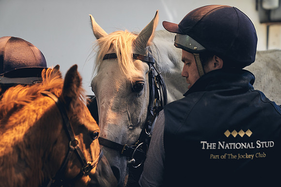 The-National-Stud-Dominic-James_DJ_4039