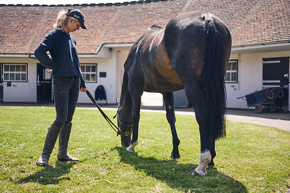The-National-Stud-Dominic-James_DOM0472