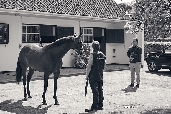 The-National-Stud-Dominic-James_DJ_3491