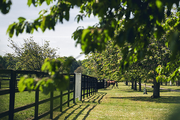 The-National-Stud-Dominic-James_DJ_3767