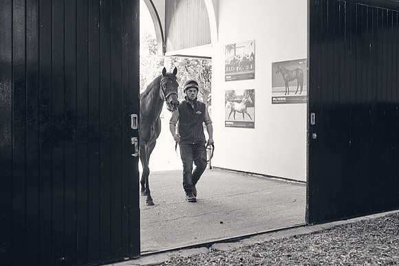 The-National-Stud-Dominic-James_DJ_4159