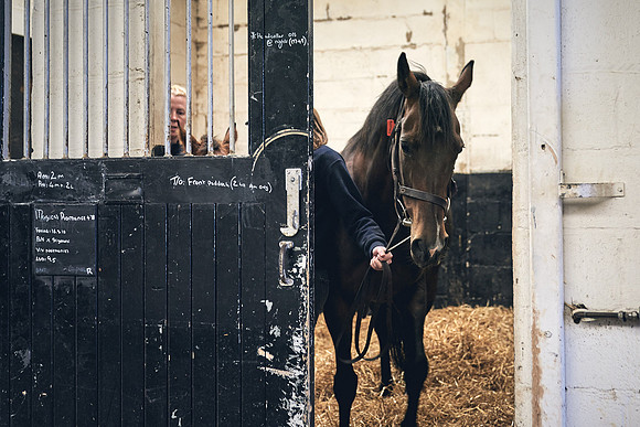 The-National-Stud-Dominic-James_DJ_4704