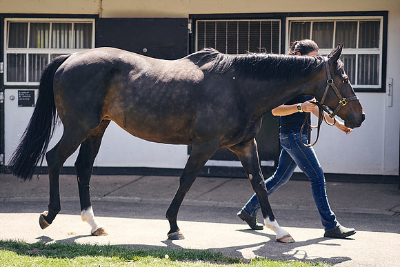 The-National-Stud-Dominic-James_DOM0216