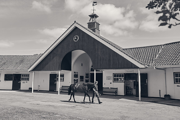 The-National-Stud-Dominic-James_DJ_3536