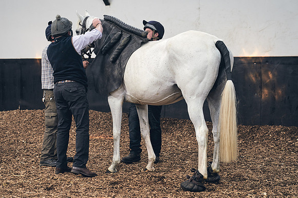 The-National-Stud-Dominic-James_DJ_4063