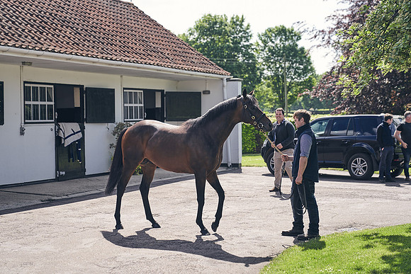 The-National-Stud-Dominic-James_DJ_3489