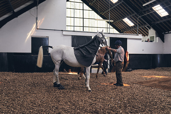 The-National-Stud-Dominic-James_DJ_4134