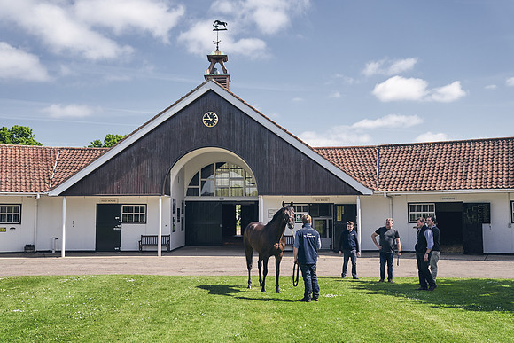The-National-Stud-Dominic-James_DJ_3580