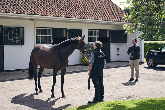 The-National-Stud-Dominic-James_DJ_3493