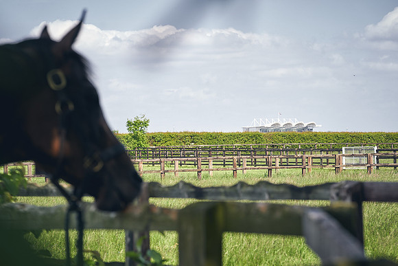 The-National-Stud-Dominic-James_DJ_5192