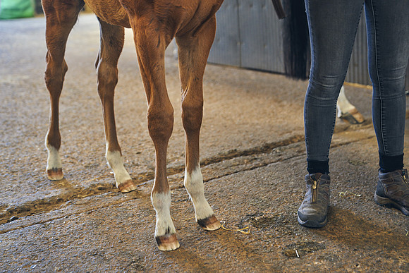 The-National-Stud-Dominic-James_DJ_4889