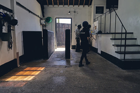 The-National-Stud-Dominic-James_DJ_4000