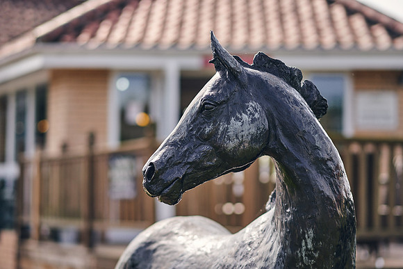 The-National-Stud-Dominic-James_DOM0841