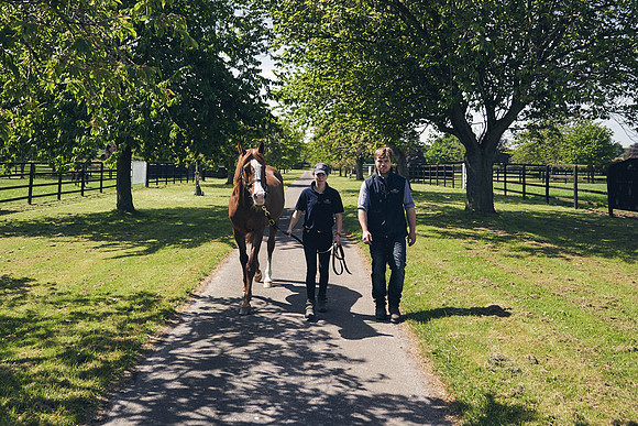 The-National-Stud-Dominic-James_DJ_3808