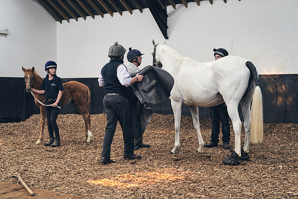 The-National-Stud-Dominic-James_DJ_4056
