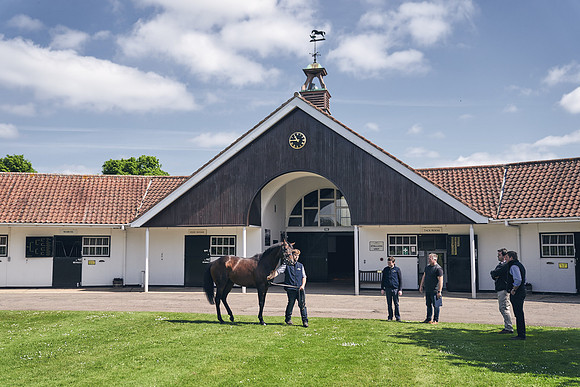 The-National-Stud-Dominic-James_DJ_3573