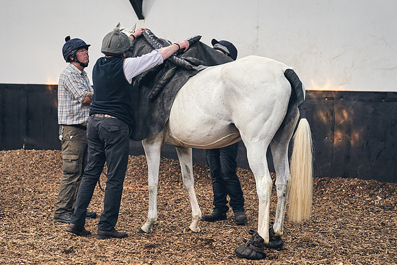 The-National-Stud-Dominic-James_DJ_4059