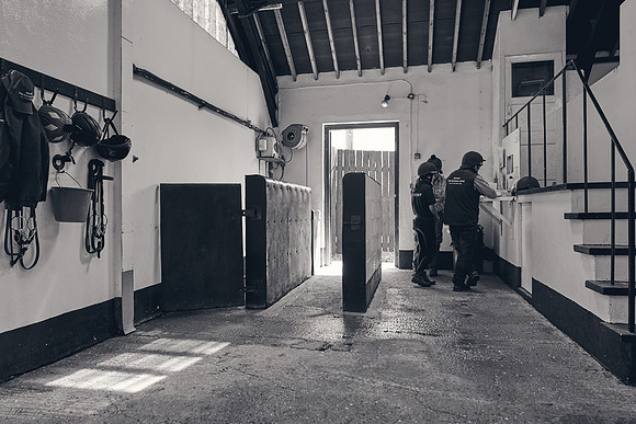 The-National-Stud-Dominic-James_DJ_4005