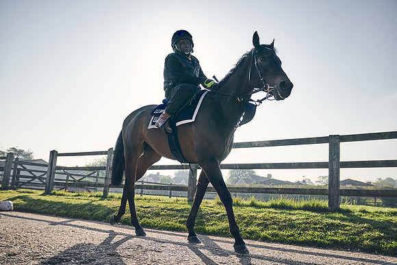 GEORGE-BOUGHEY-RACING-DJ-1517