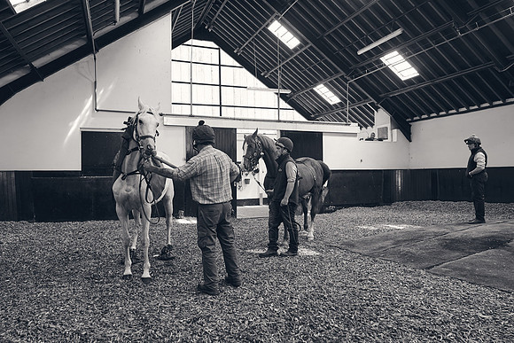 The-National-Stud-Dominic-James_DJ_4114