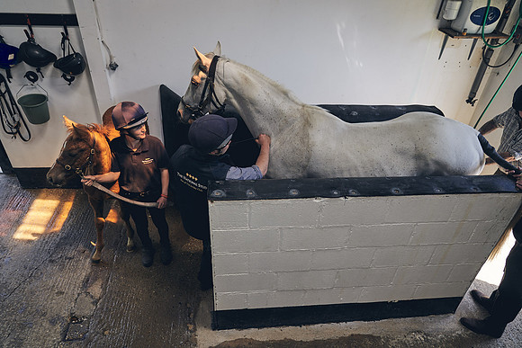 The-National-Stud-Dominic-James_DJ_4027