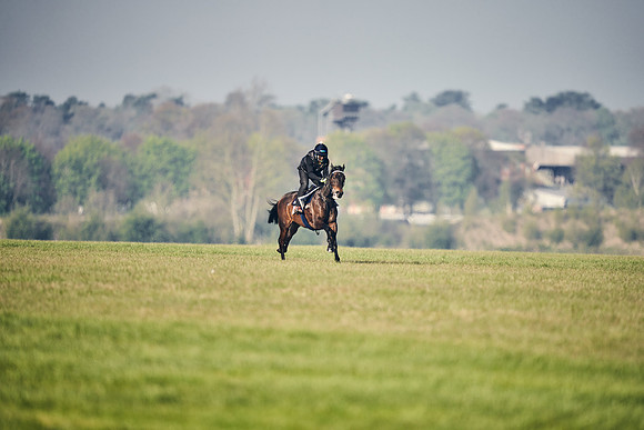 GEORGE-BOUGHEY-RACING-DJ-2957