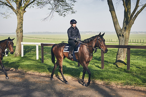 GEORGE-BOUGHEY-RACING-DJ-1781