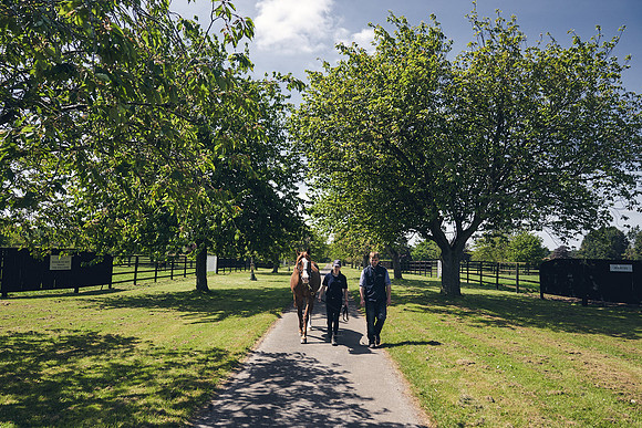 The-National-Stud-Dominic-James_DJ_3806
