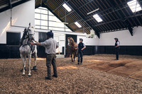 003 The Stallion Unit