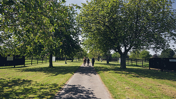 The-National-Stud-Dominic-James_DJ_3793