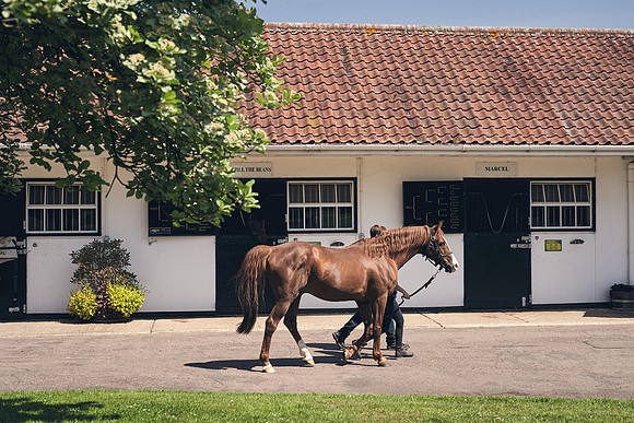 The-National-Stud-Dominic-James_DJ_3828